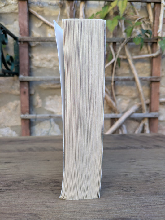 The Lost Storyteller - Amanda Block