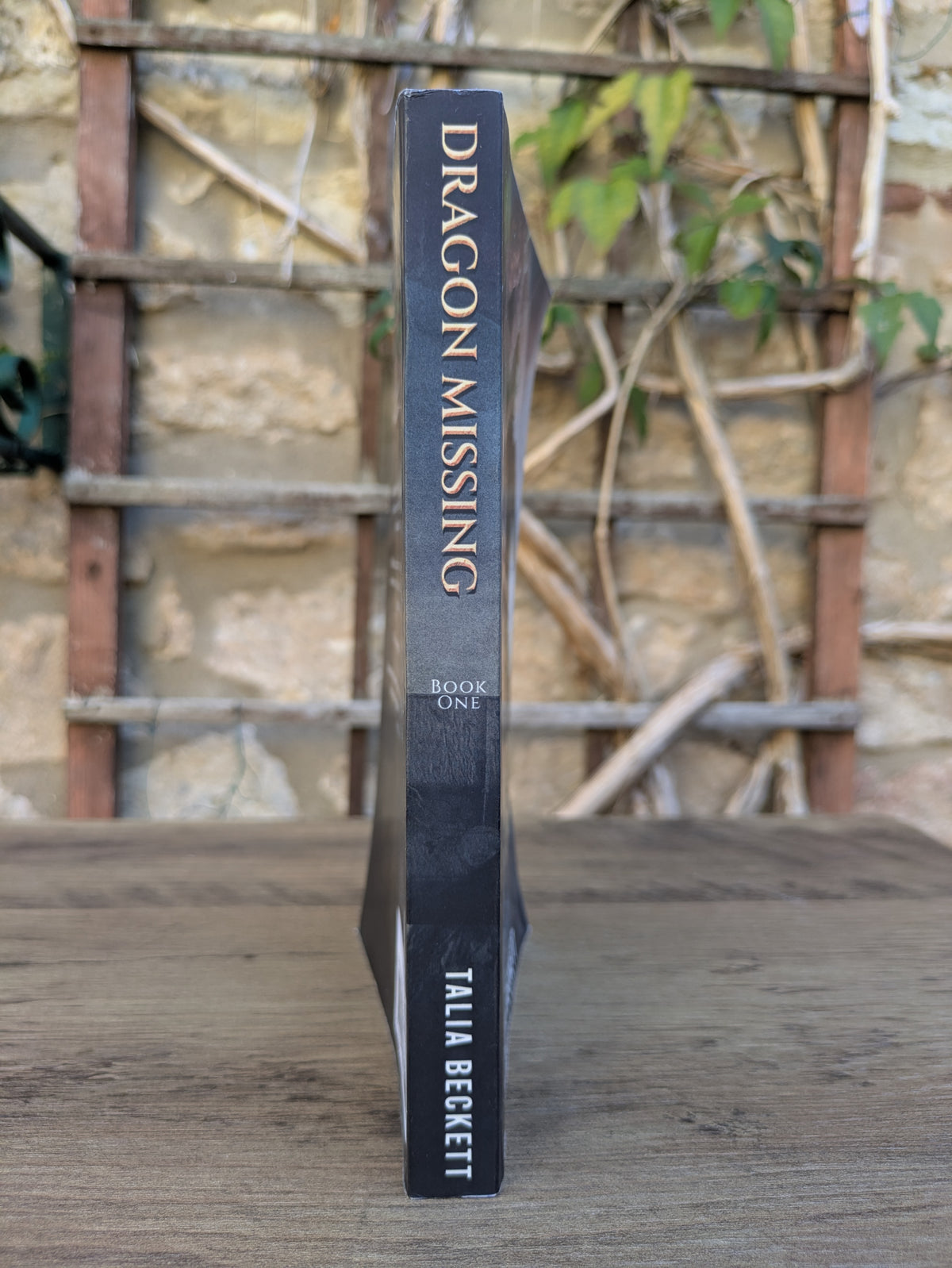 Dragon Missing (Book One - Dragon Apparent)
