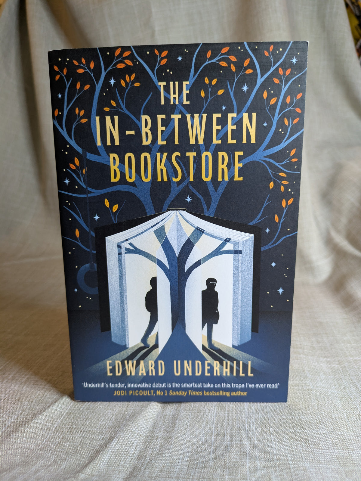 The In-between Bookstore - Edward Underhill
