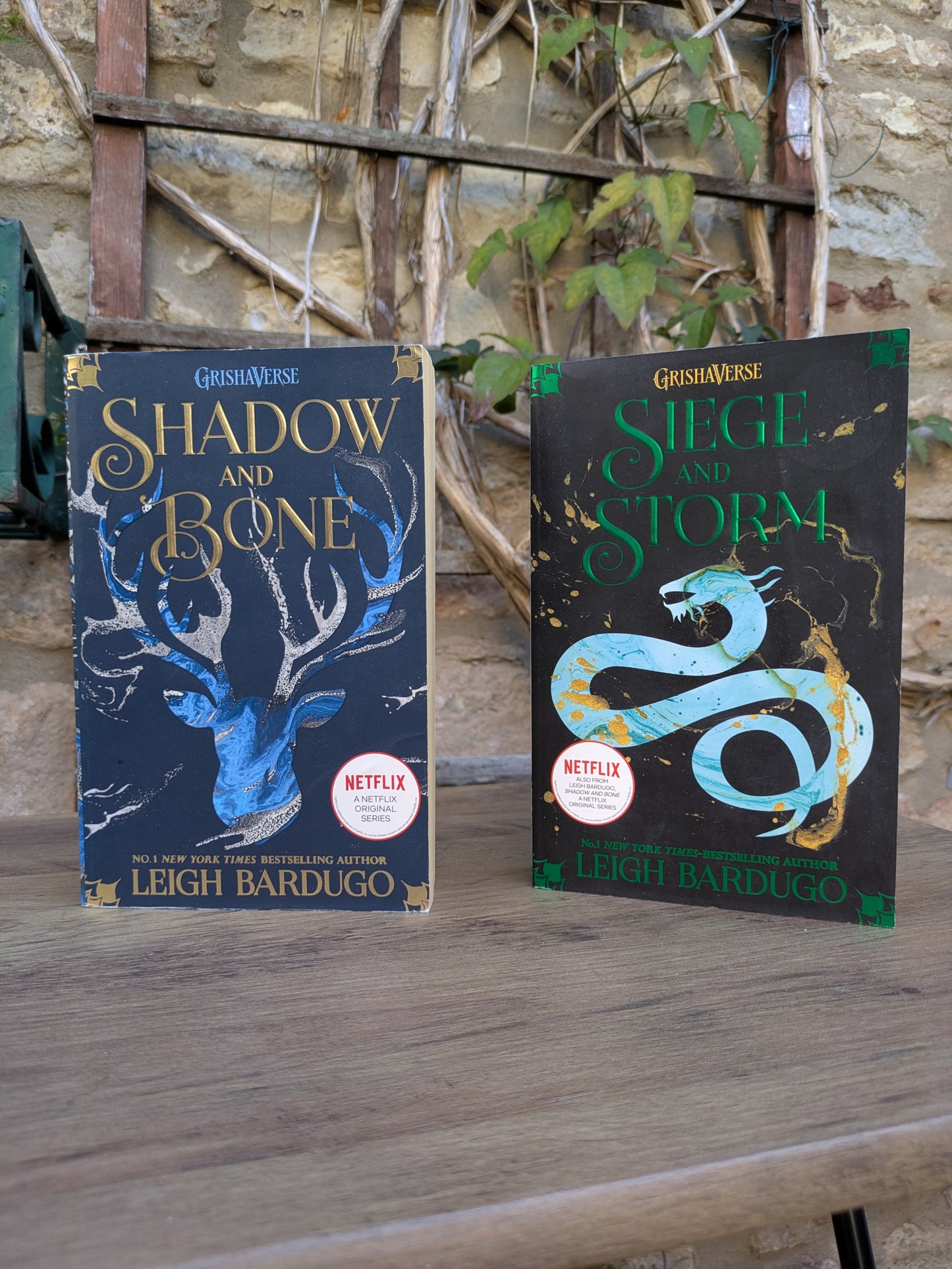 Shadow and Bone Series Bundle (Books 1 & 2) - Leigh Bardugo