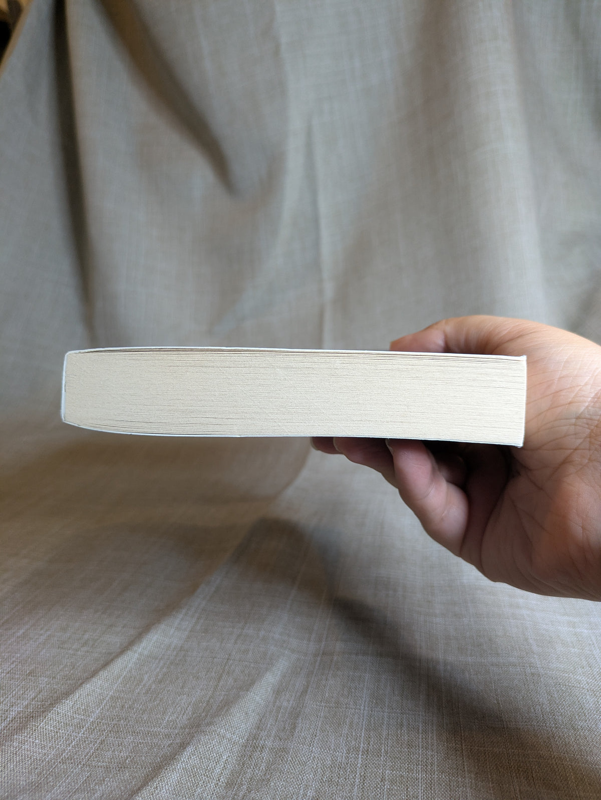The In-between Bookstore - Edward Underhill