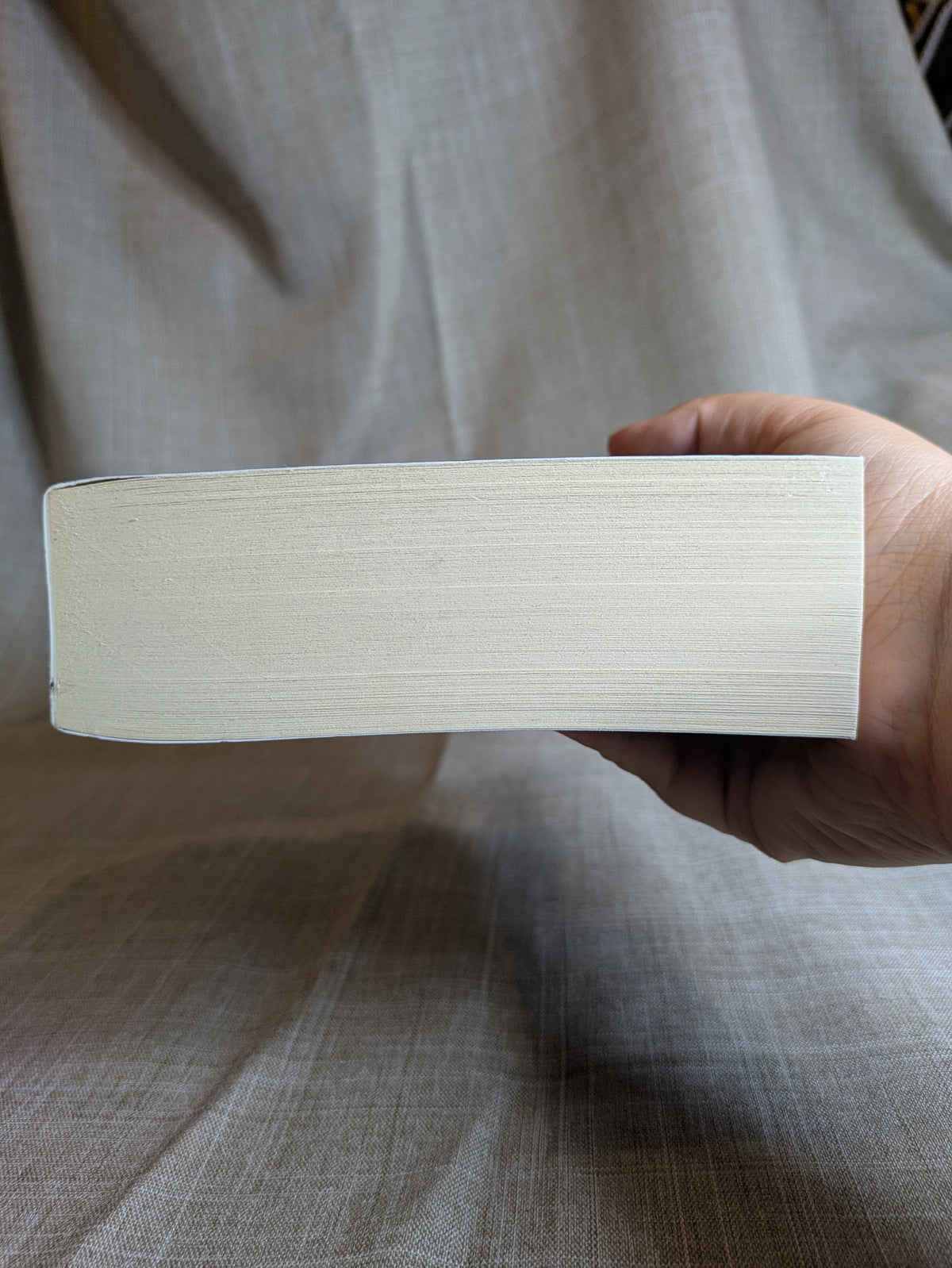 A Storm of Swords, 1: Steel and Snow - George R.R. Martin