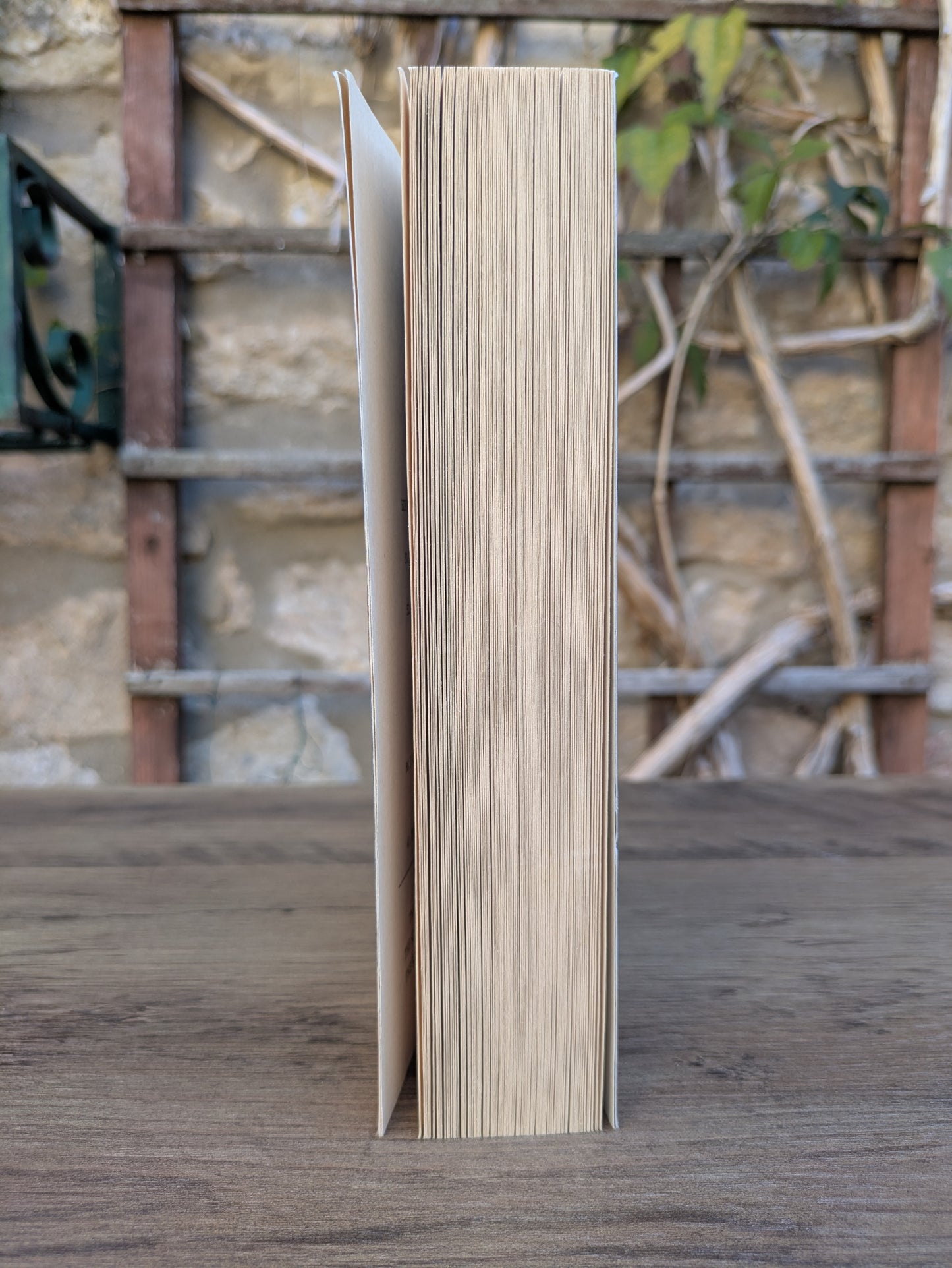 Reaper Man - Terry Pratchett