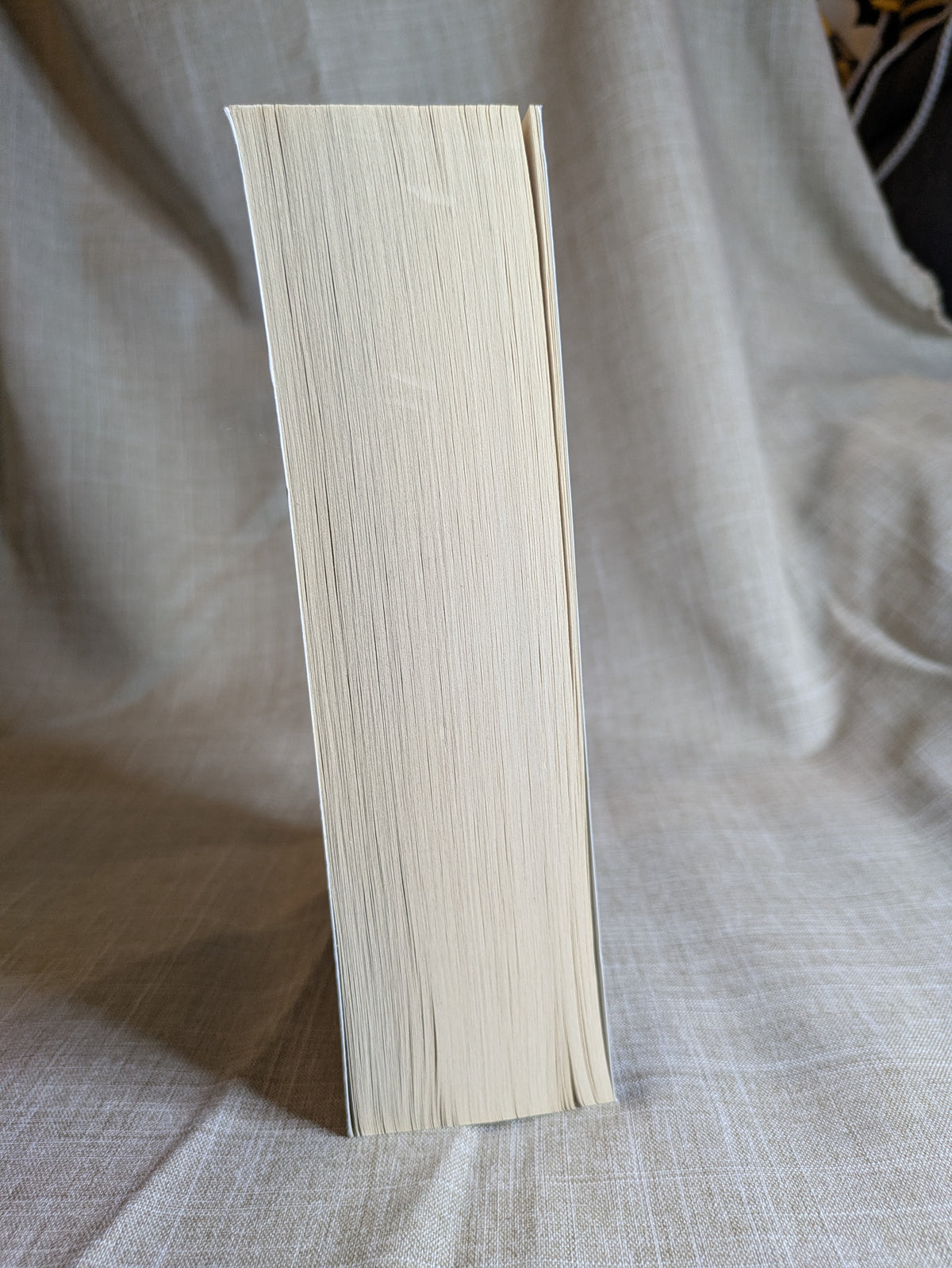 A Storm of Swords, 1: Steel and Snow - George R.R. Martin