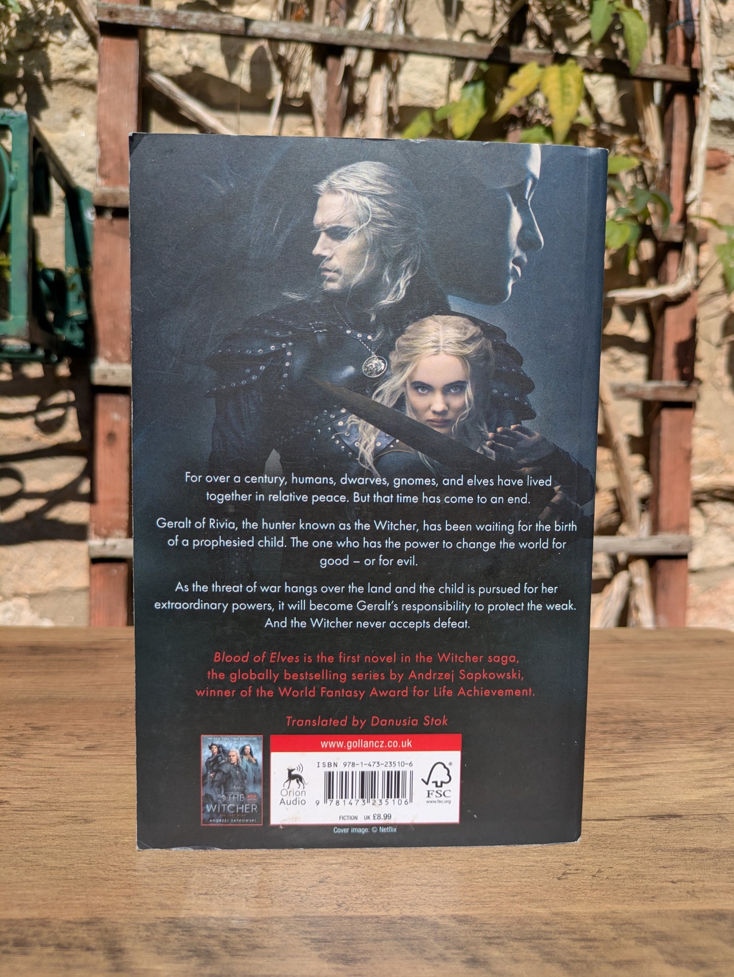 The Witcher: Blood of Elves - Andrzej Sapkowski