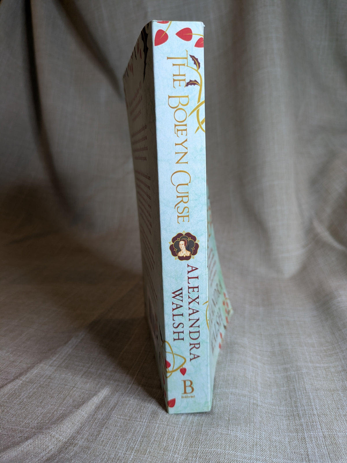 The Boleyn Curse - Alexandra Walsh