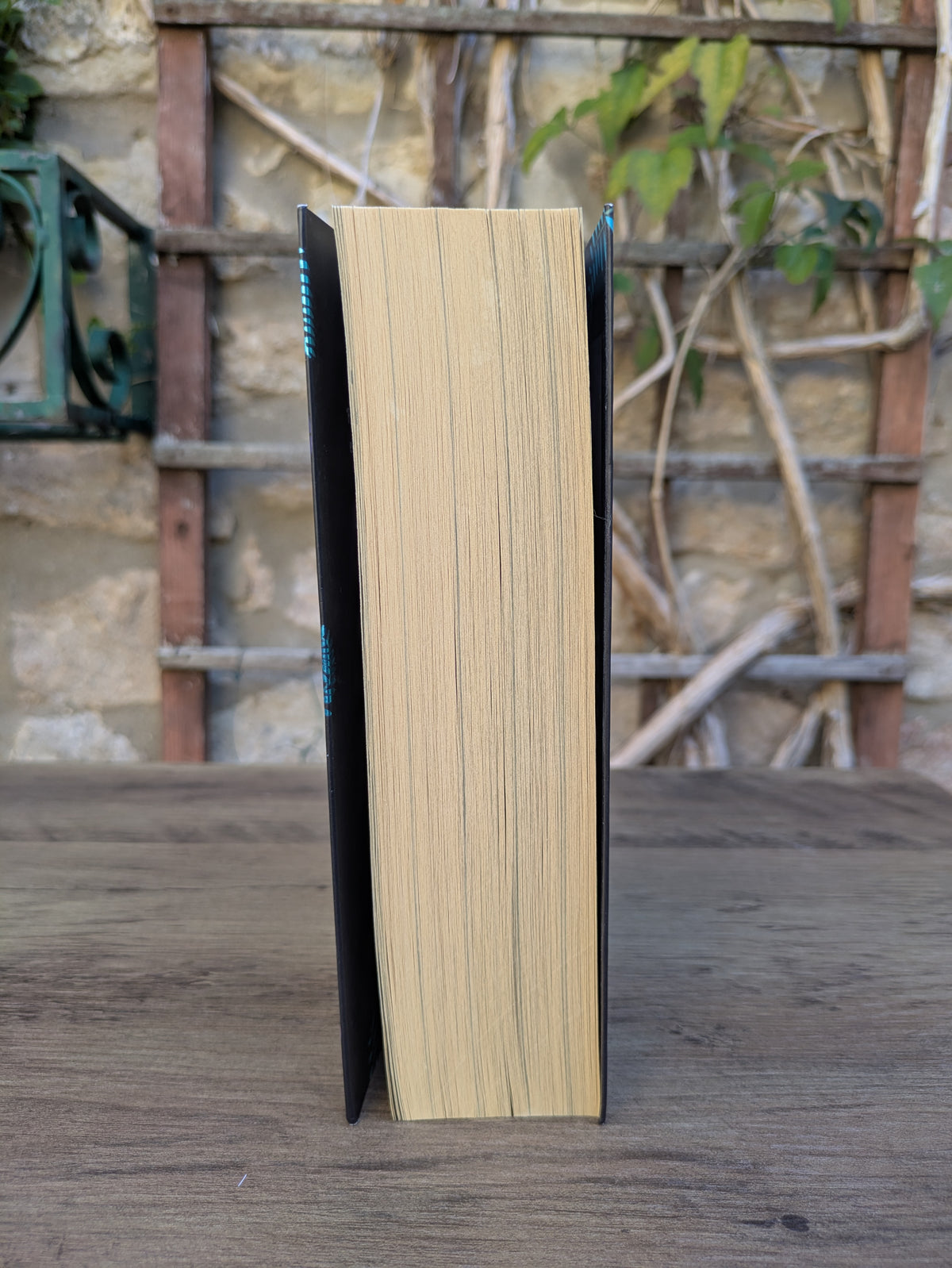 Black Leopard Red Wolf - Marlon James