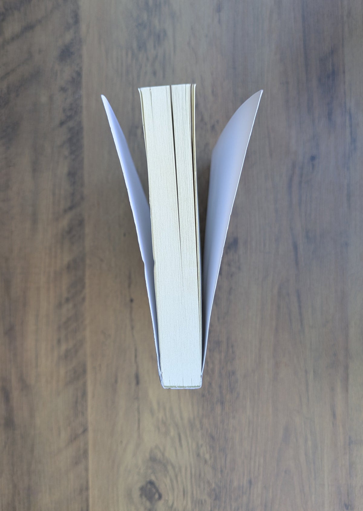 Dragon Missing (Book One - Dragon Apparent)