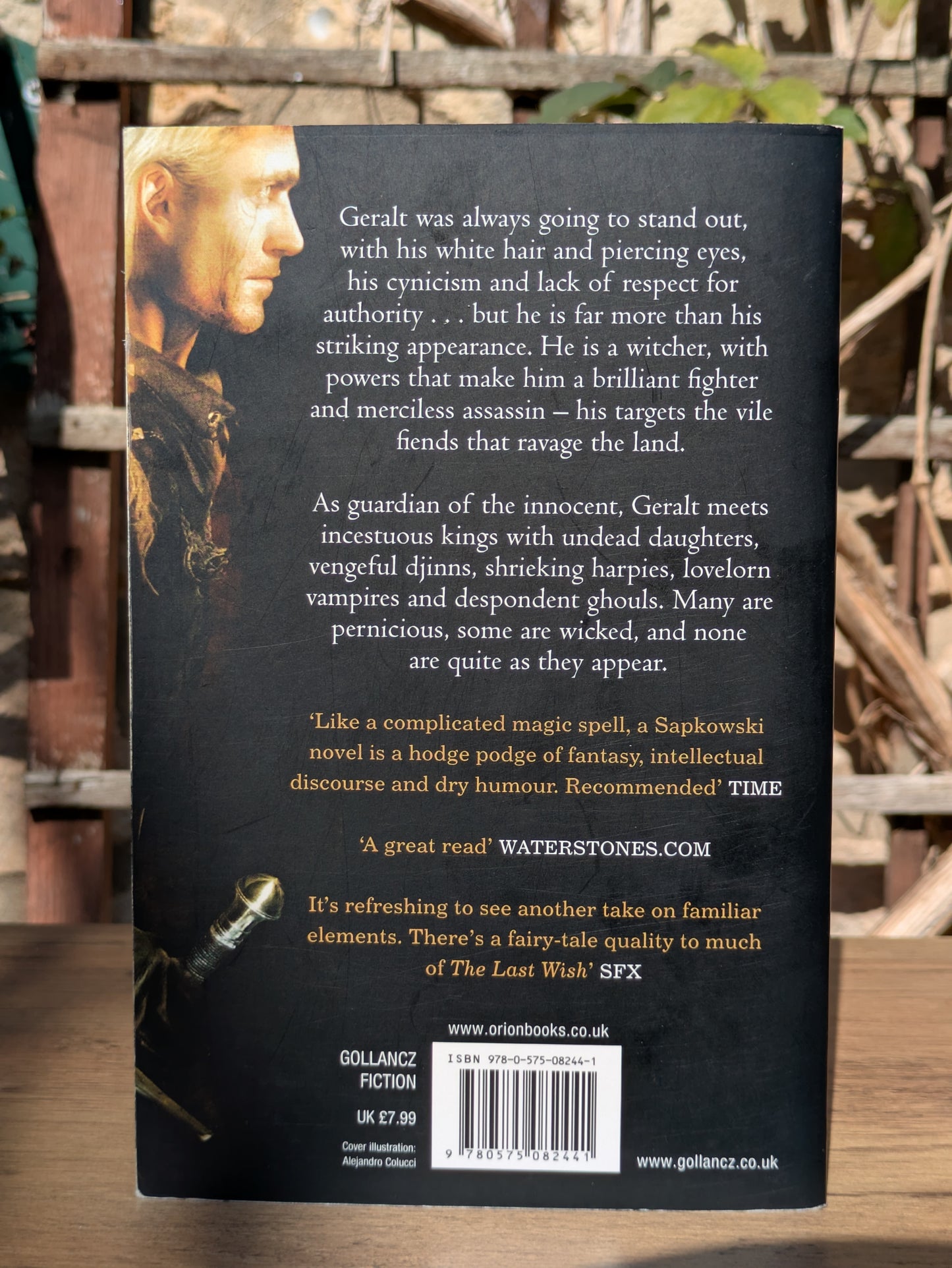 The Witcher: The Last Wish by Andrzej Sapkowski