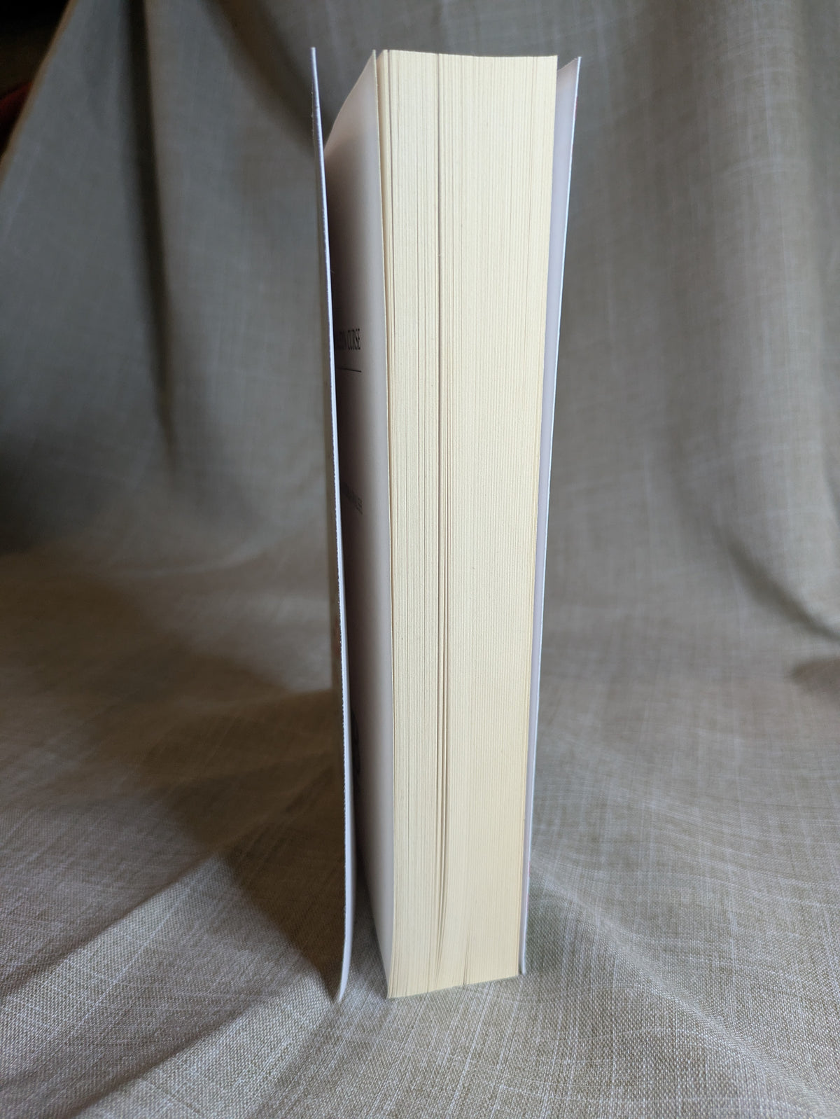 The Boleyn Curse - Alexandra Walsh